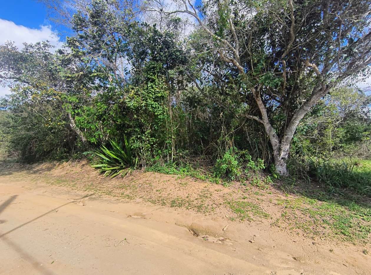 Terreno, 600 m² - Foto 1