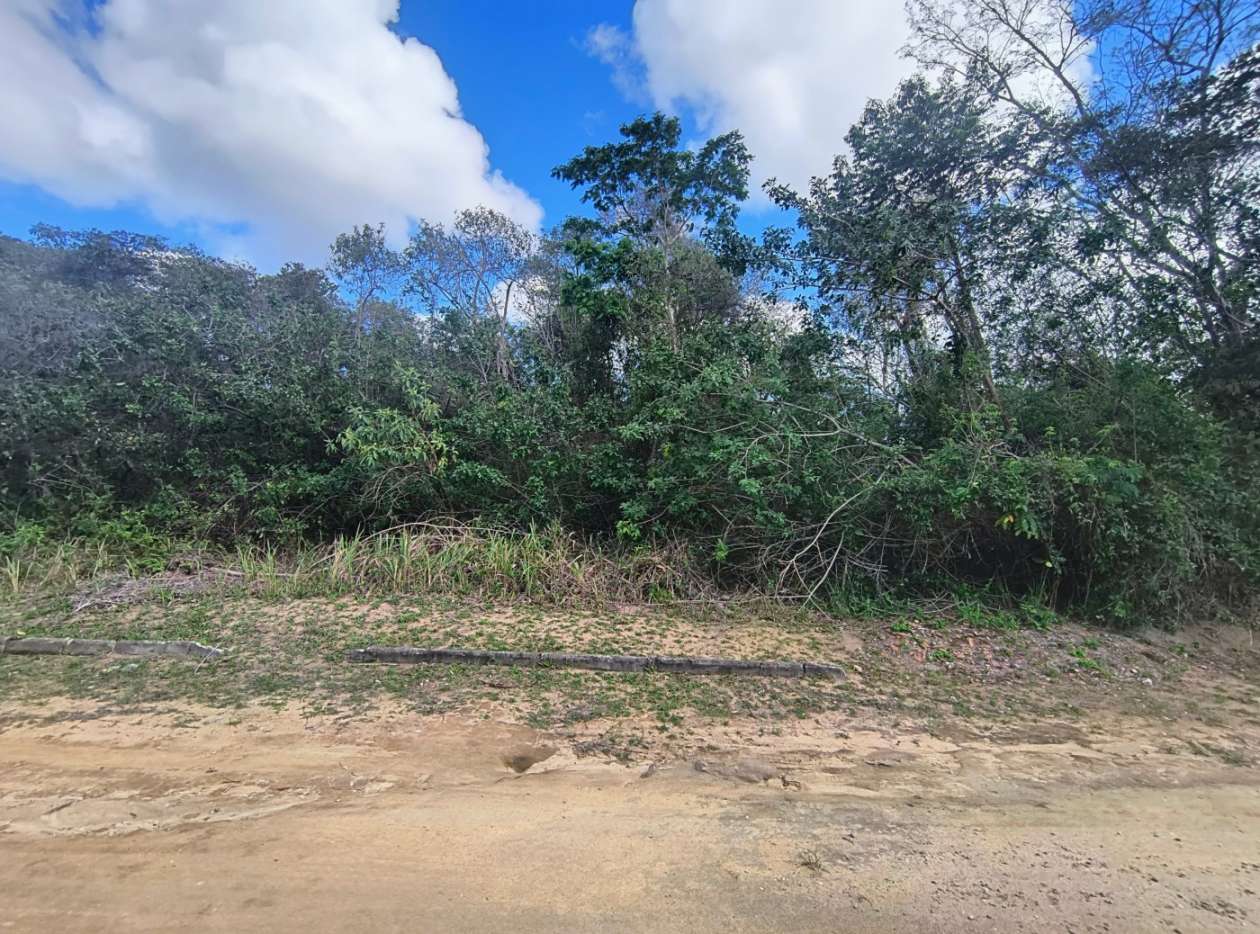 Terreno, 600 m² - Foto 3