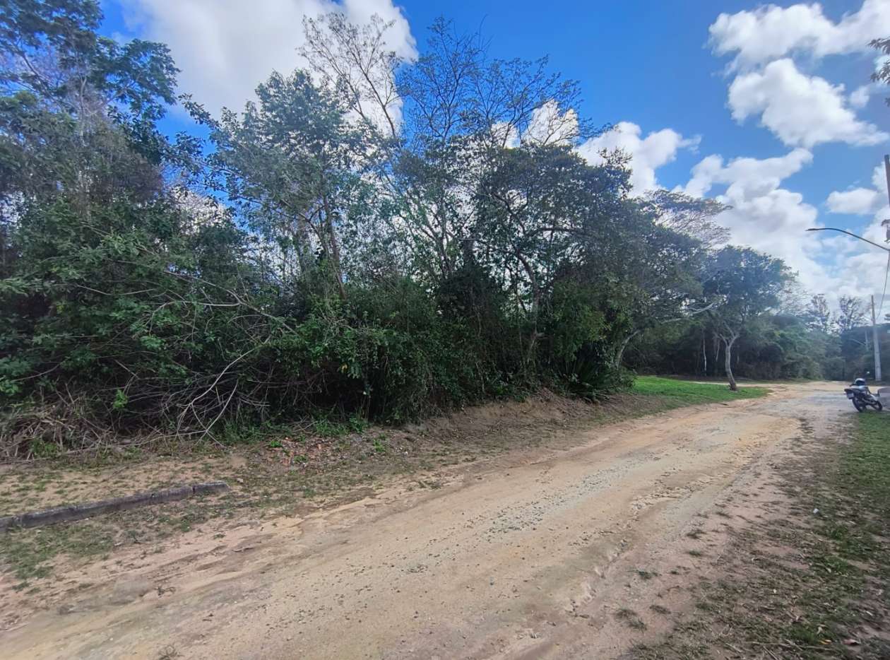 Terreno, 600 m² - Foto 5