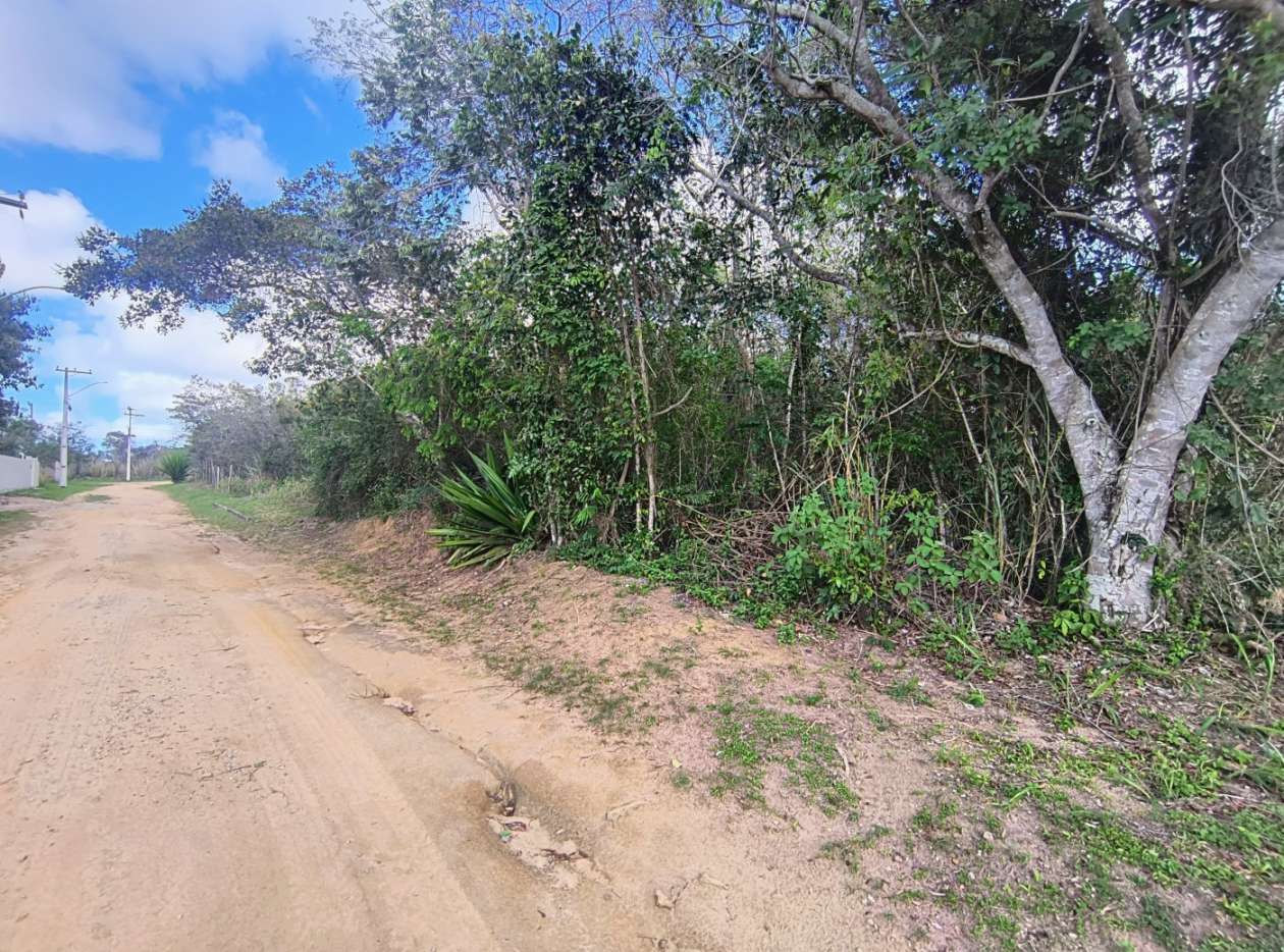 Terreno, 600 m² - Foto 6