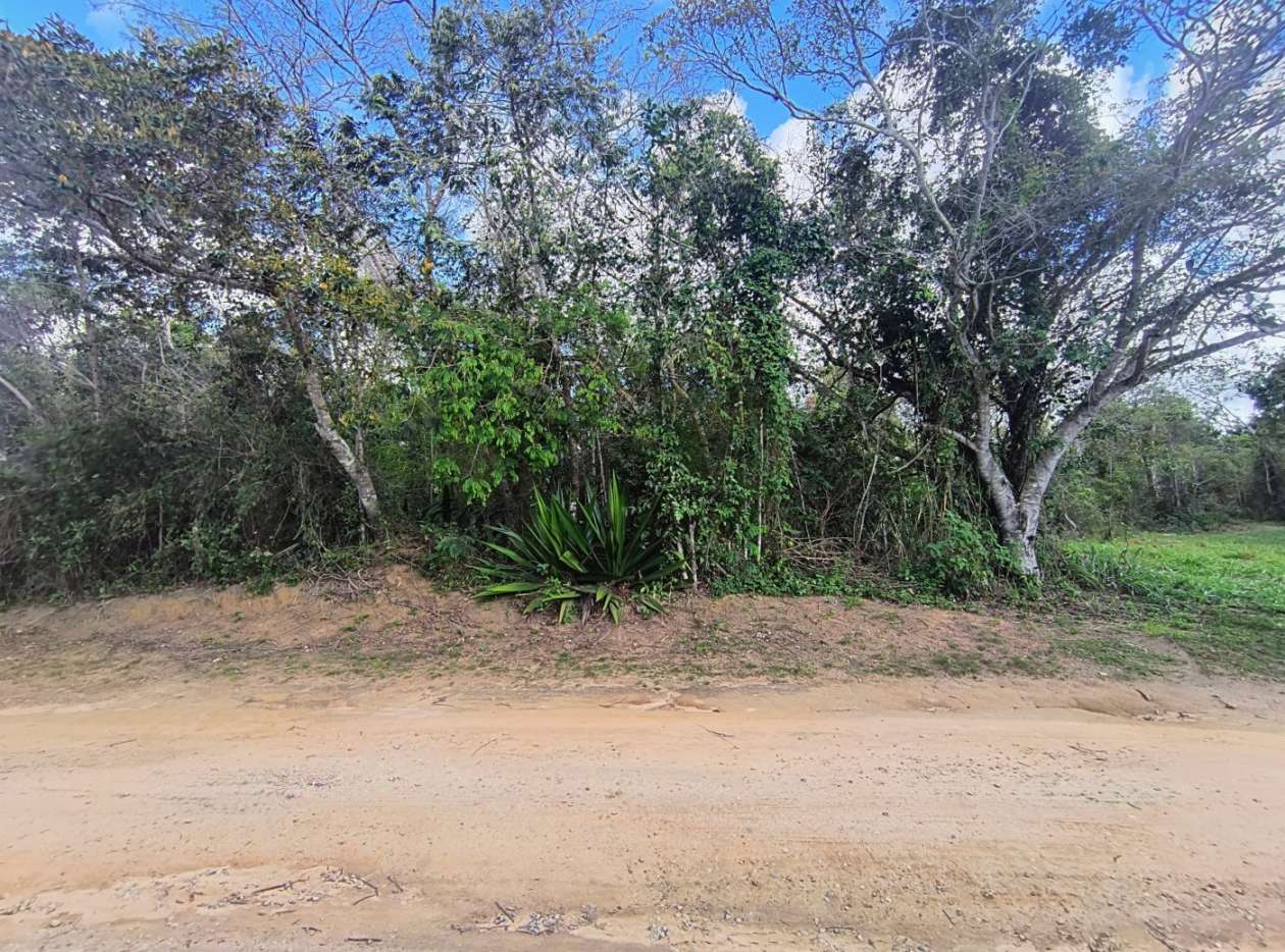 Terreno, 600 m² - Foto 7