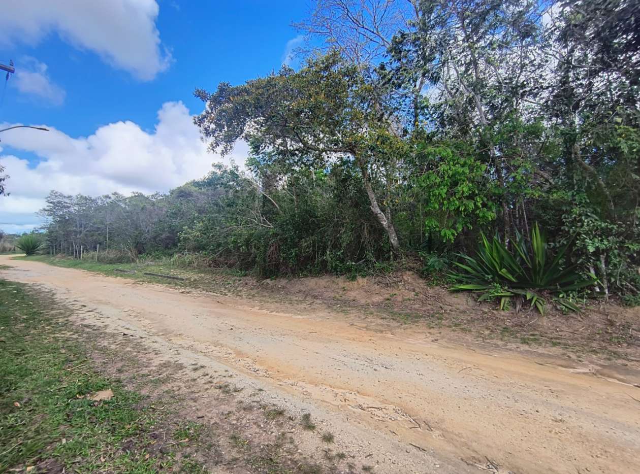 Terreno, 600 m² - Foto 8