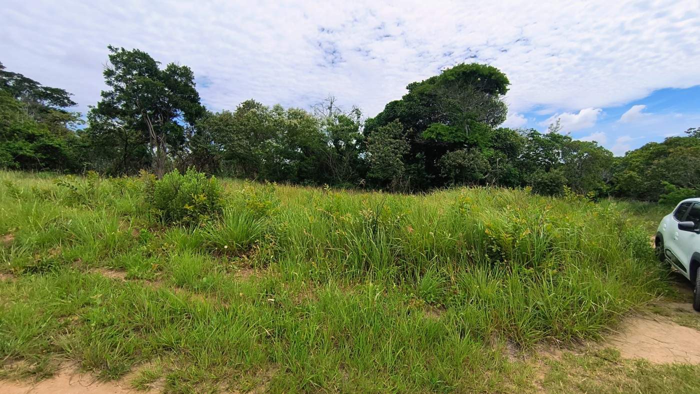 Terreno, 600 m² - Foto 6