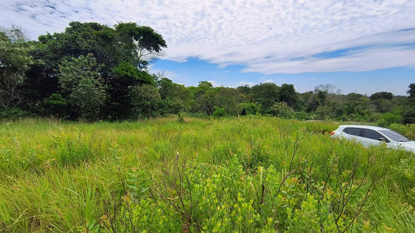 Terreno, 600 m² - Foto 7