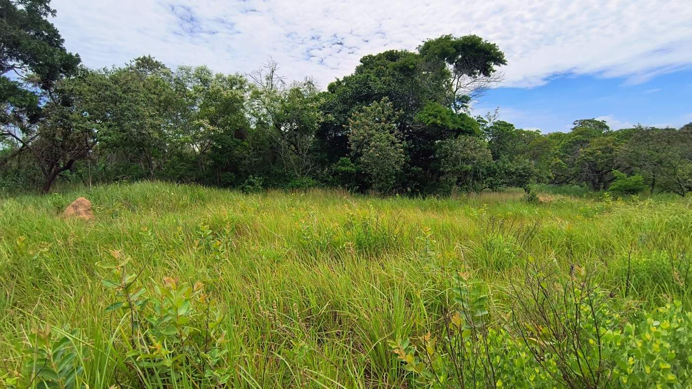Terreno, 600 m² - Foto 10
