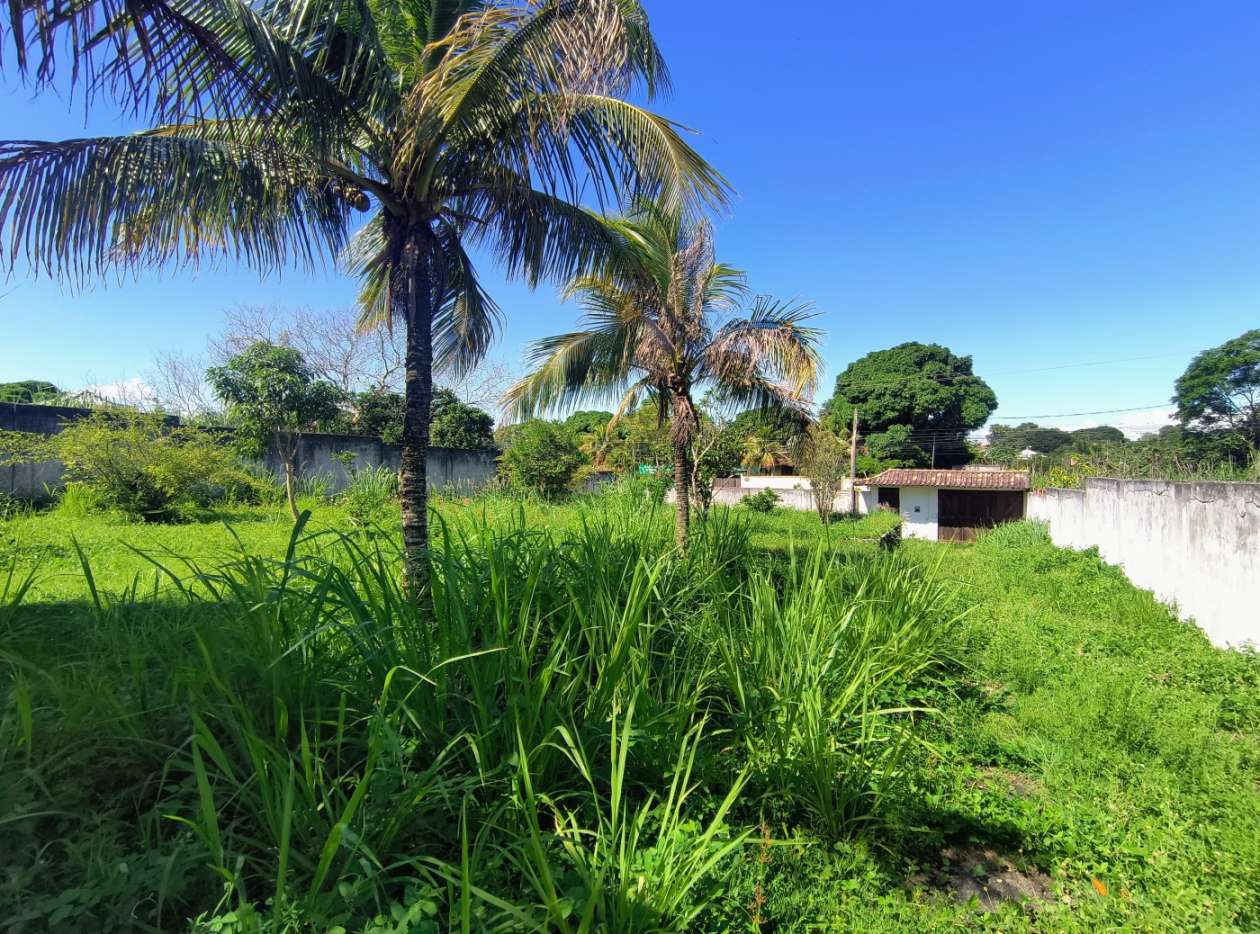 Casa, 2 quartos, 1410 m² - Foto 22