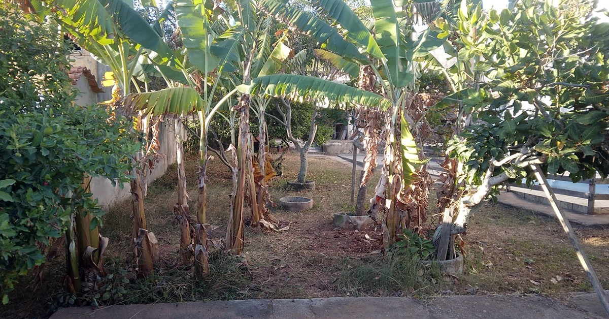Casa, 5 quartos, 660 m² - Foto 19