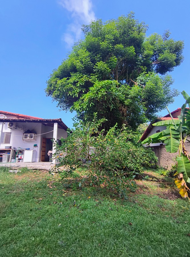 Casa, 2 quartos, 450 m² - Foto 11