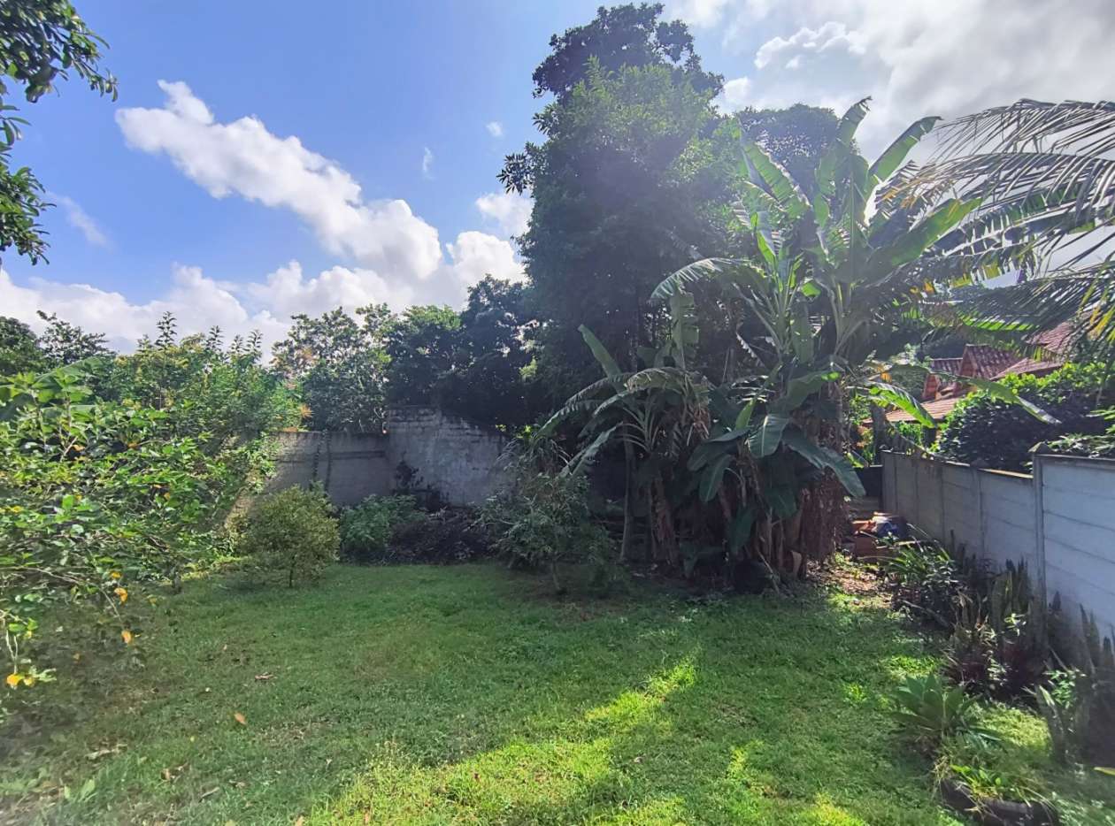 Casa, 2 quartos, 450 m² - Foto 12