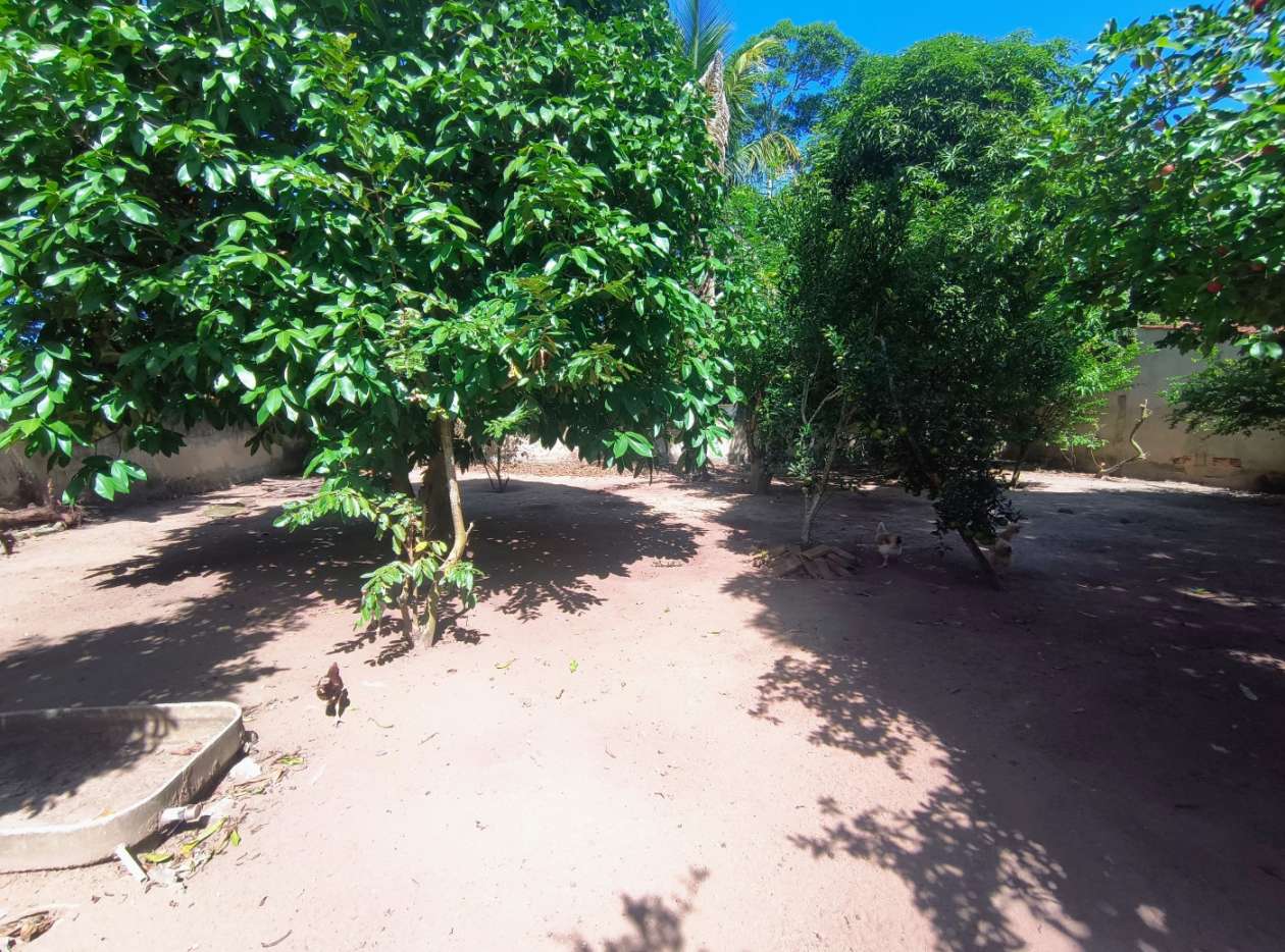 Casa, 2 quartos, 935 m² - Foto 13