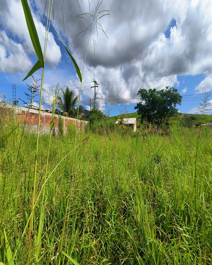 Terreno, 450 m² - Foto 5