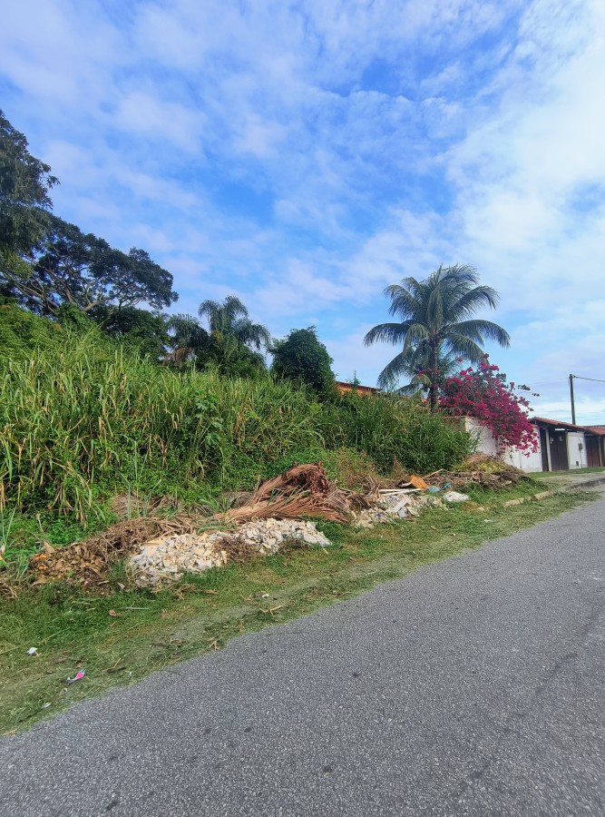 Terreno, 450 m² - Foto 1